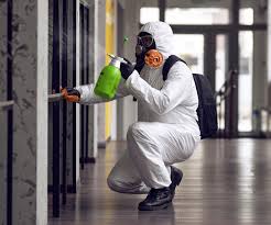 Mold Odor Removal Services in North East, MD